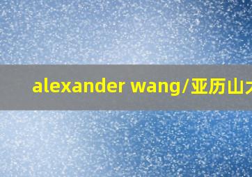 alexander wang/亚历山大王